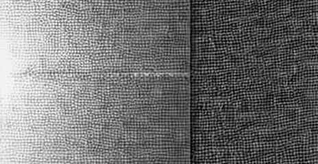 Bức màn sau quỹ 300 triệu USD của Micron: Khi nhà sản xuất bộ nhớ đi săn 'câu chuyện' AI Bức màn sau quỹ 300 triệu USD của Micron: Khi nhà sản xuất bộ nhớ đi săn 'câu chuyện' AI