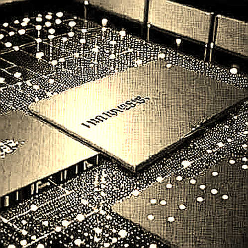 Cerebras và AMD: Lời hứa rẻ nhất là trên whitepaper, hay một cuộc săn mồi mới?