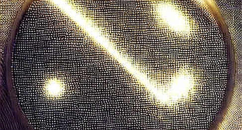 Tín hiệu từ Avalanche9000: Khi thị trường sideways phơi bày chiến lược thực sự của các L1 Tín hiệu từ Avalanche9000: Khi thị trường sideways phơi bày chiến lược thực sự của các L1